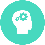 Brain