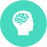 Brain